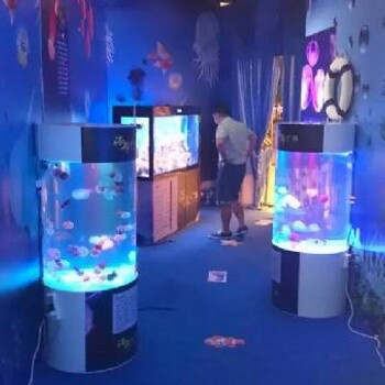 房地产暖场海洋展出租海洋生物展览租赁企鹅海狮表演