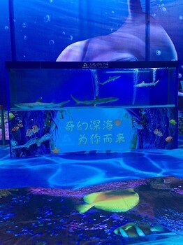 海洋活体生物展出租海洋展报价租赁做一次海洋展价格