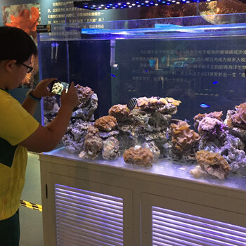 海洋生物展览方案海洋生物展海洋展出租