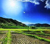 生物酶空气净化剂名天地之始