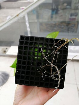 懷柔果殼活性炭安全可靠廠家