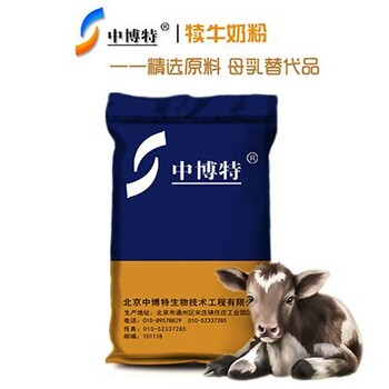 锦州犊牛代乳粉刚出生小牛喝的奶粉厂家直供