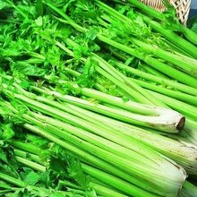 芹菜粉宁陕国圣品质保障现货包邮图片