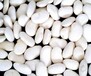 白蕓豆粉品質保障現貨包郵
