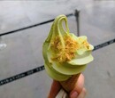 上海进口冰淇淋报关报检代理图片