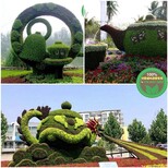 晋江大型立体花坛绿雕价格图片1