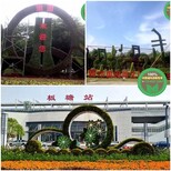 晋江大型立体花坛绿雕价格图片2