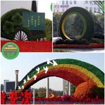 晋江大型立体花坛绿雕价格图片4