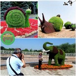 襄城仿真植物绿雕优势效果图图片3