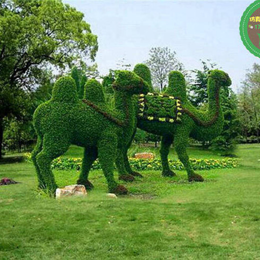 郑州园林植物绿雕加工生产