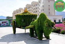 昌都左贡仿真绿雕植物墙市场价格图片1