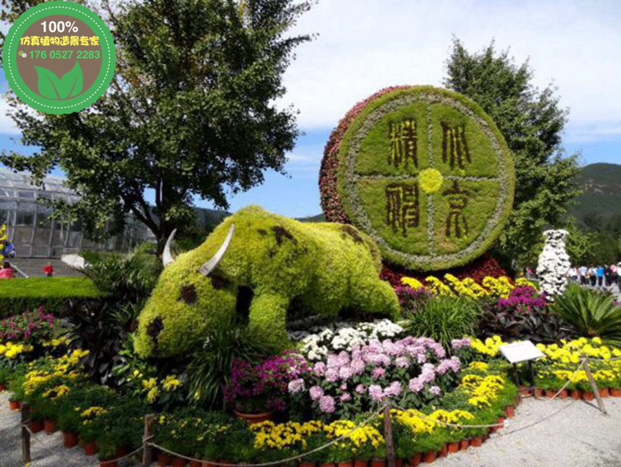 福州福清五色草造型绿雕生产厂家