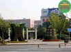 济南天桥大型立体花坛绿雕生产价格