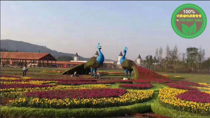 池州青阳五色草造型植物绿雕市场价格