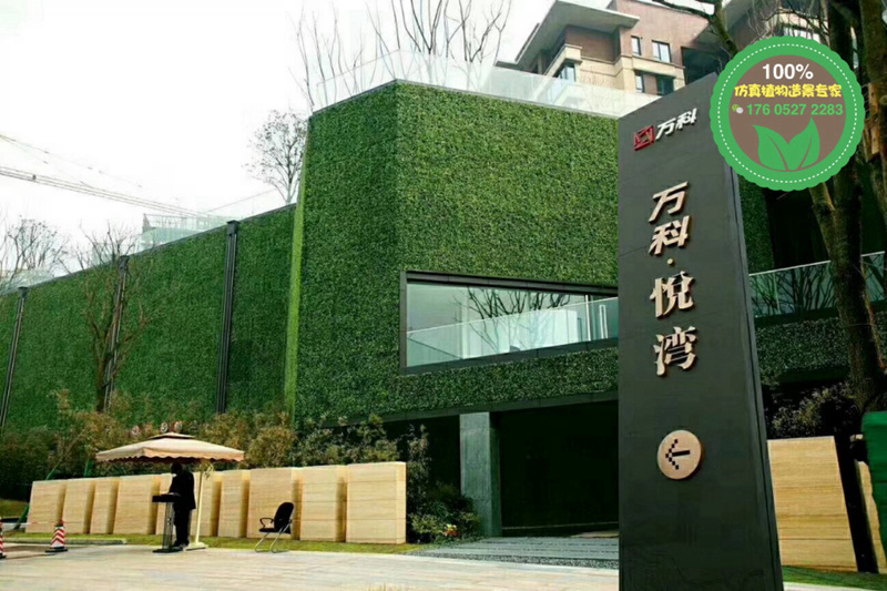 宁波江北五色草造型绿雕供货价格