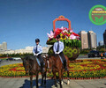 新疆博尔塔拉立体花坛绿雕造景供货价格