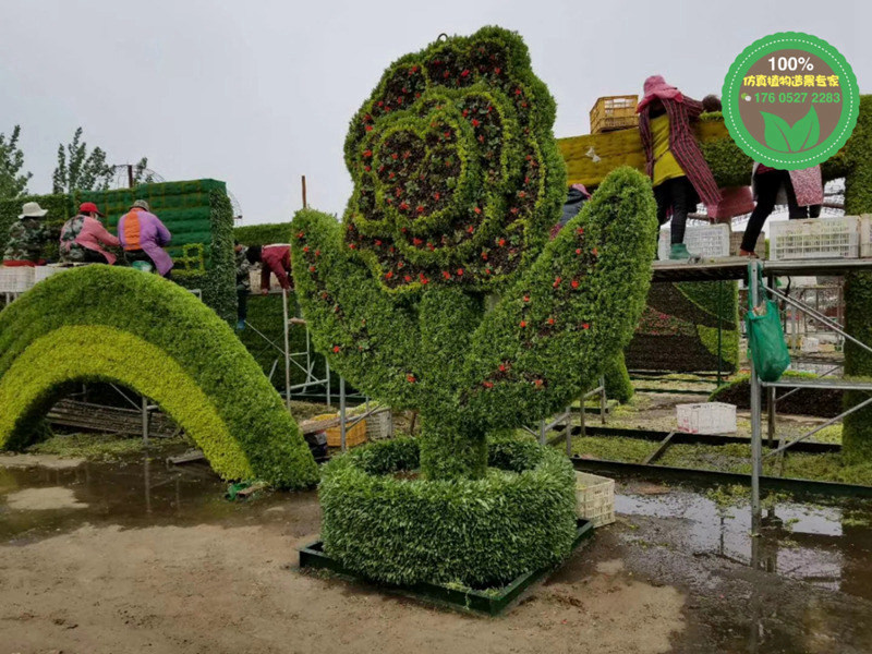 洛阳新安五色草造型植物绿雕市场价格