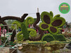 图片案例：东宝立体花坛立体绿化采购不二选择