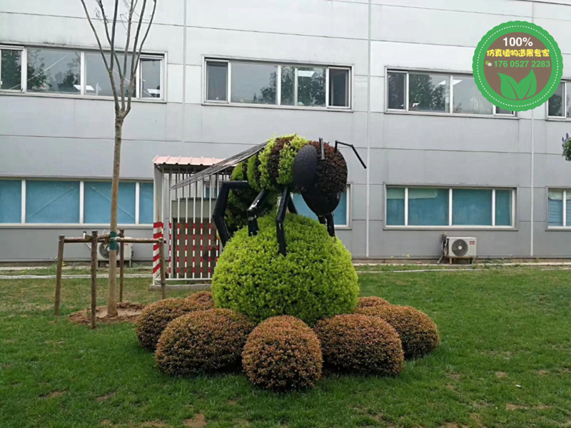 图片案例：德庆立体绿雕植物制作工艺流程