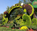 博尔塔拉阿拉山口仿真植物荷花绿雕制作设计公司