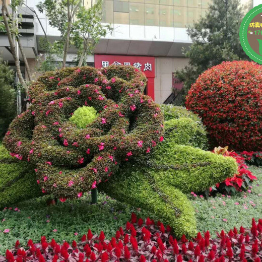 凉山甘洛立体绿雕植物生产厂家