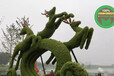 桂东立体花坛绿雕造型制作价格