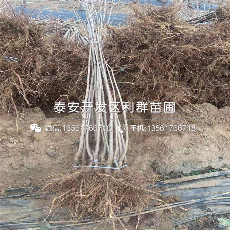 車?yán)遄用鐖?bào)價(jià)、車?yán)遄用鐑r(jià)格及報(bào)價(jià)