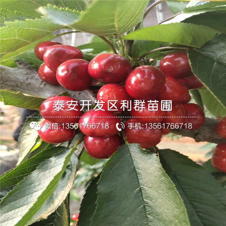 車?yán)遄用鐖?bào)價(jià)、車?yán)遄用鐑r(jià)格及報(bào)價(jià)