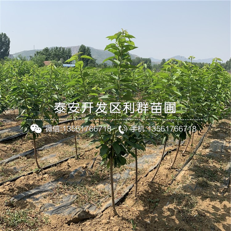 車?yán)遄用鐖?bào)價(jià)、車?yán)遄用鐑r(jià)格及報(bào)價(jià)