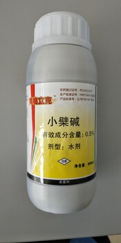 治療茄子枯萎病用什么藥怎么有效治療茄子枯萎病