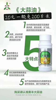 红蜘蛛防治方案红蜘蛛发病规律