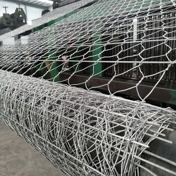 石籠網(wǎng)生產(chǎn)廠家各種規(guī)格型號可定制