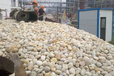 巢湖鹅卵石质量保证-安徽鹅卵石不含泥