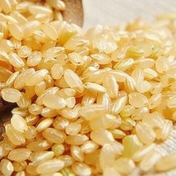 进口巴基斯坦糙米整体物流操作丨空运报关流程