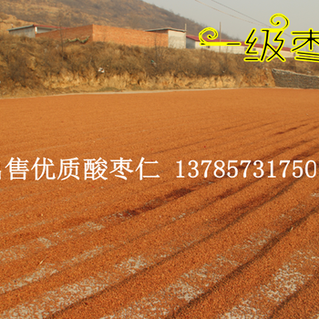 出售優(yōu)良酸棗仁（紅棗種子）