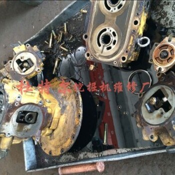 贵州凯斯挖掘机维修调节器经验十足（杜特尔修理）