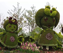 五色草立体花坛植物景观雕塑定制图片