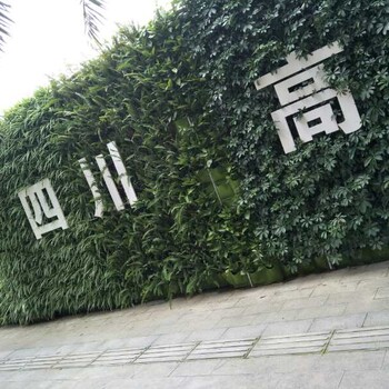 立体绿化工地真植物外墙立体景观垂直绿化制作厂家