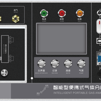 TAS-GAS-4100便携式沼气分析仪，沼气检测仪