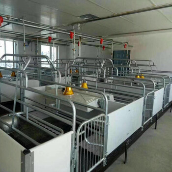 北京欧式产床保温罩性能可靠,猪仔产床保温盖