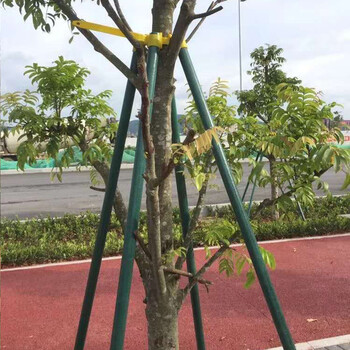 建誠綠化樹木支撐架,云南環(huán)保建誠樹木支撐桿設計合理