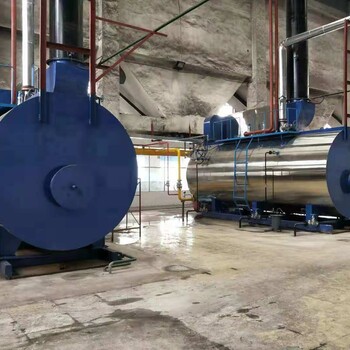 湘潭燃氣蒸汽鍋爐售后保障,低氮環保蒸汽鍋爐