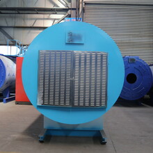 中鍋供暖熱水鍋爐,2000平方供暖圖片