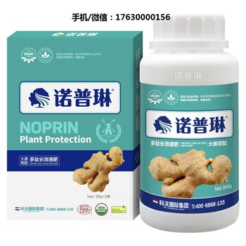 諾普琳大姜葉面肥的種植技術(shù)
