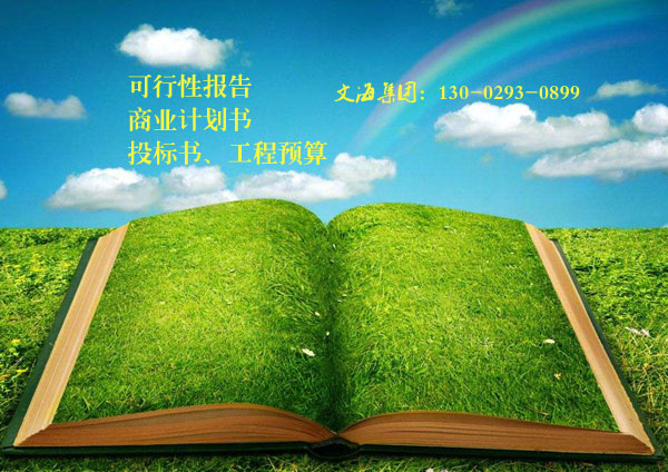 赤峰代写公司项目计划书编商业计划书材料