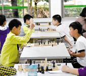 睿酷国际象棋课堂