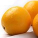 呼和浩特75mm脐橙绿色食品果农自营新鲜水果10公斤包邮