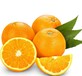湘潭95mm纽荷尔橙孕妇食品果园自营新鲜水果3公斤包邮