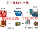 新疆塔城大豆榨油机型号齐全