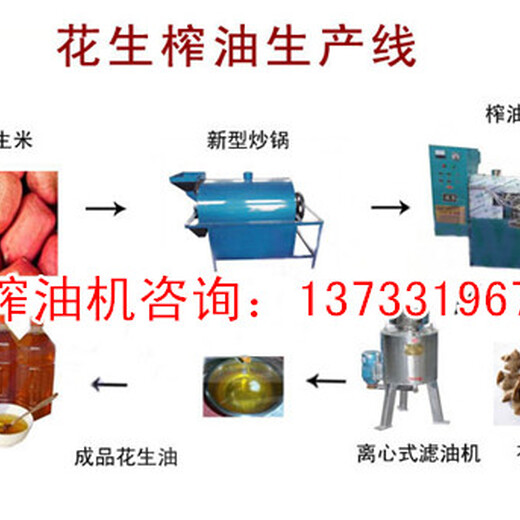 湖北孝感新型液压榨油机产量高